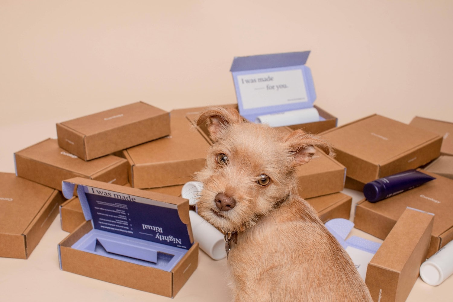 Craft Memorable Custom PR Packaging for Every Need